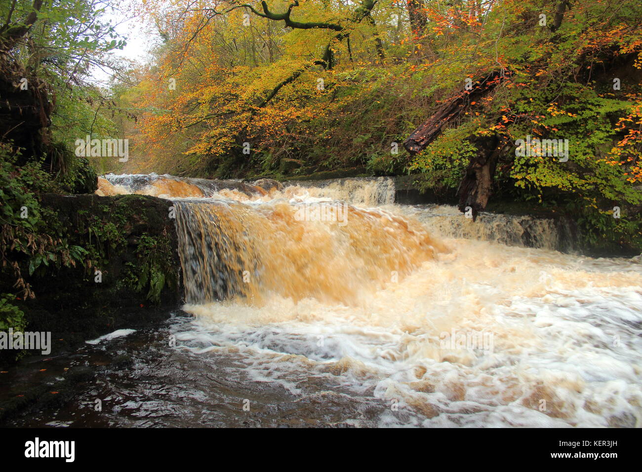 Lynn fällt, auf lugton Wasser westlich von dalry, North Ayrshire, Schottland mit Herbst Bäume im Hintergrund. Stockfoto