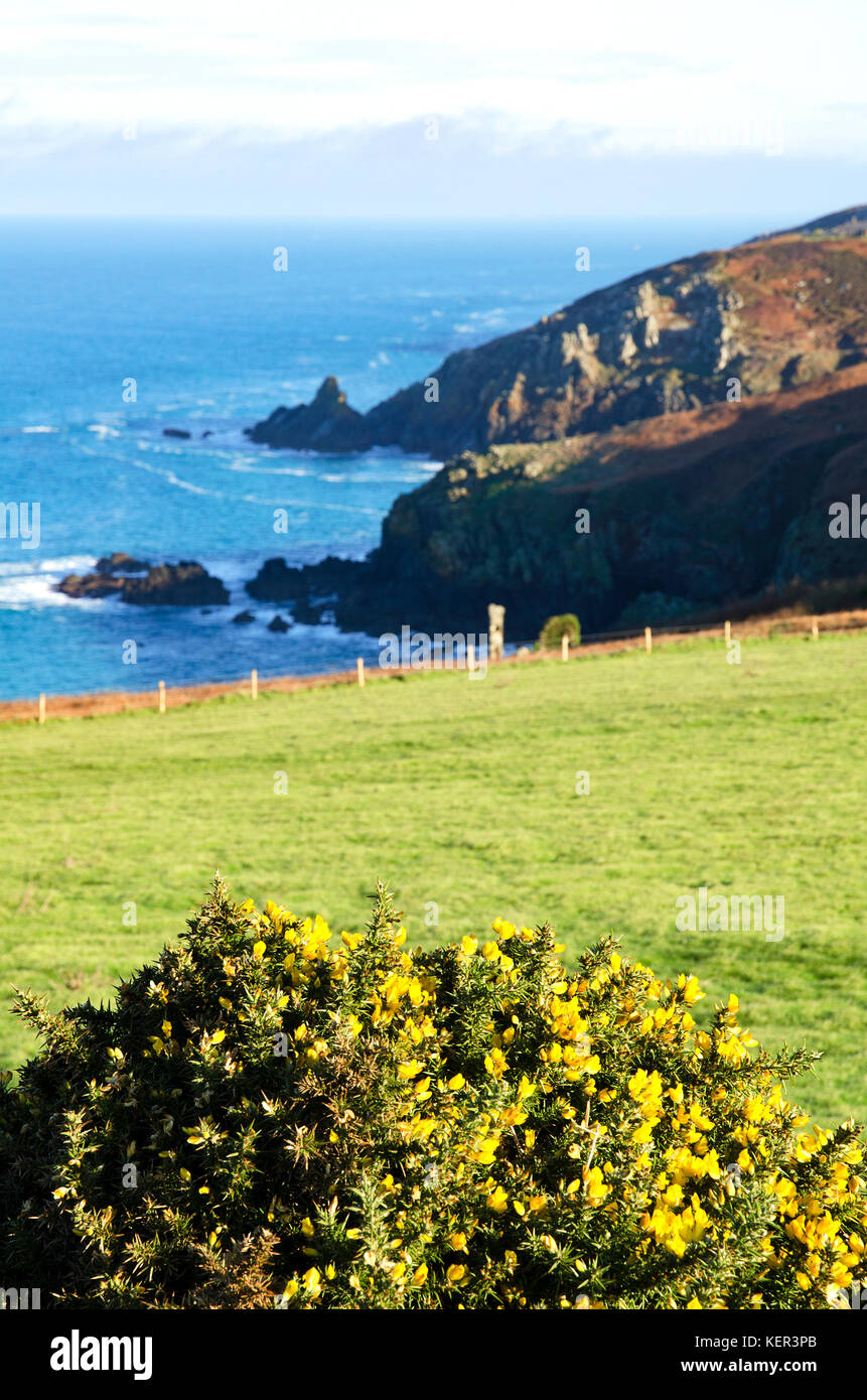 Anzeigen von zennor in penwith, Cornwall, England, Großbritannien, Großbritannien. Stockfoto