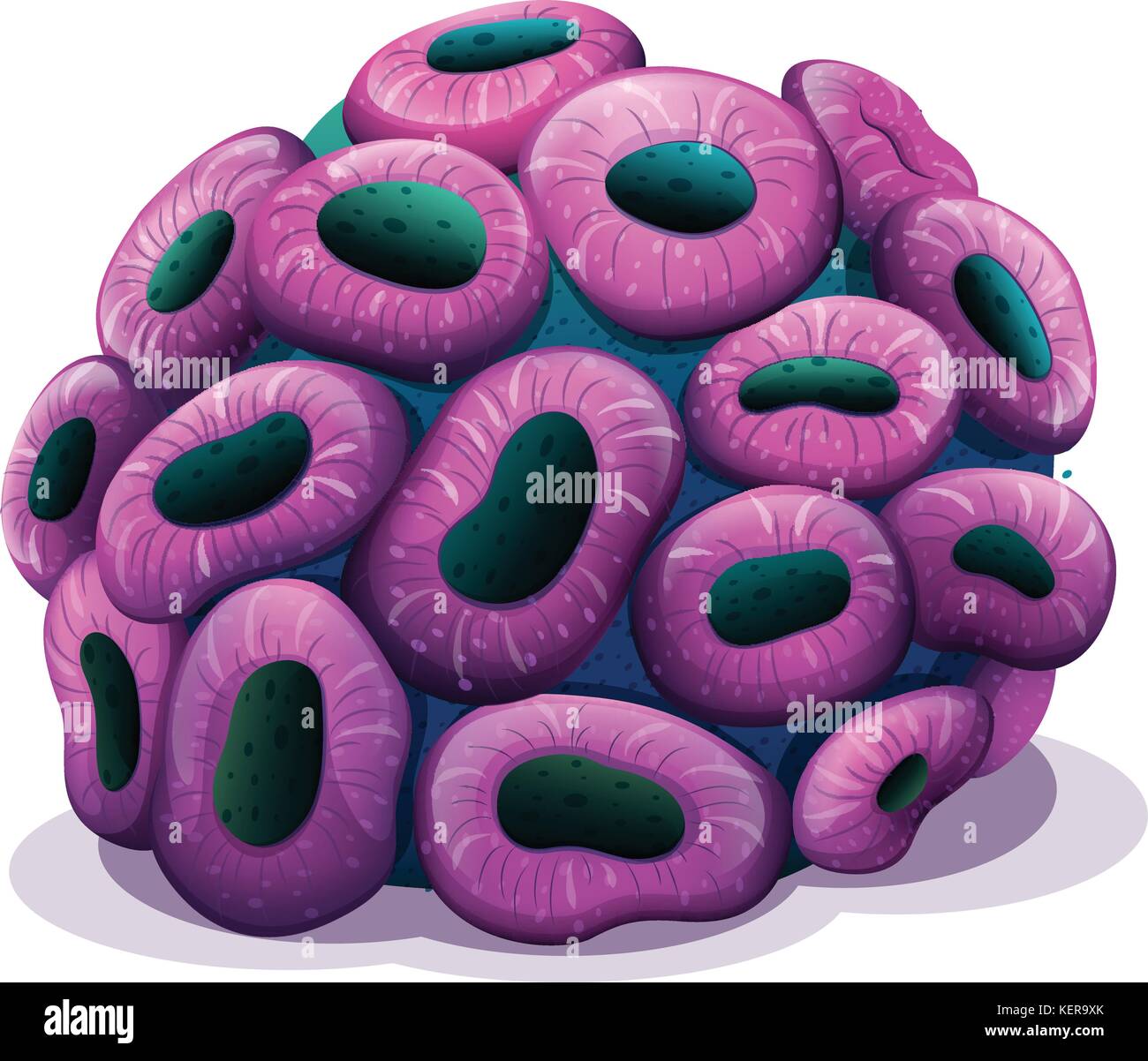 Lavendel Koralle Stock Vektorgrafiken Kaufen Alamy