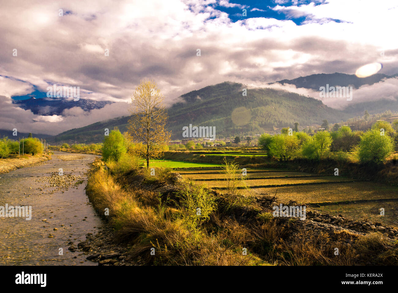 Landwirtschaft Feld, Paro Tal, Paro, Bhutan. Stockfoto