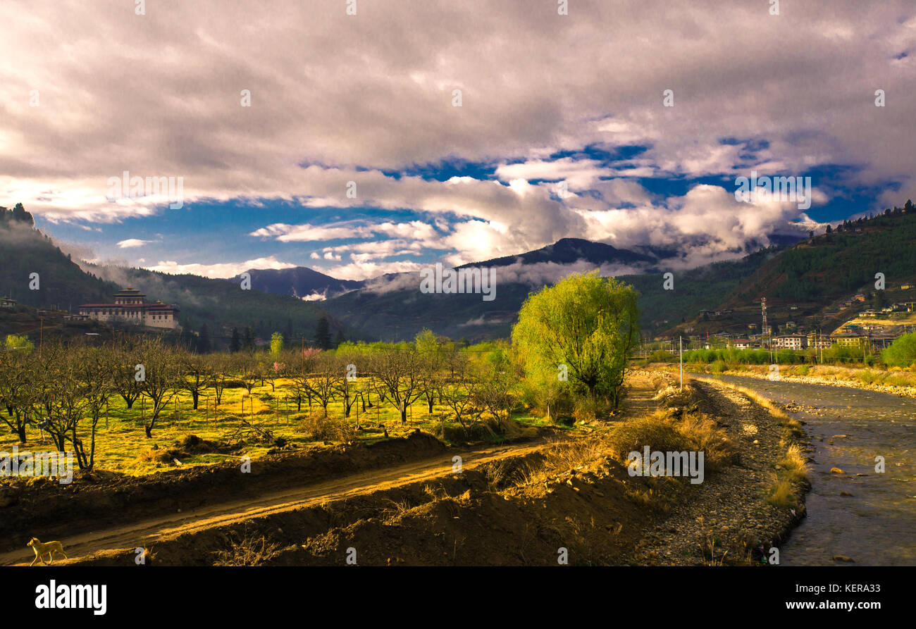 Landwirtschaft Feld, Paro Tal, Paro, Bhutan. Stockfoto