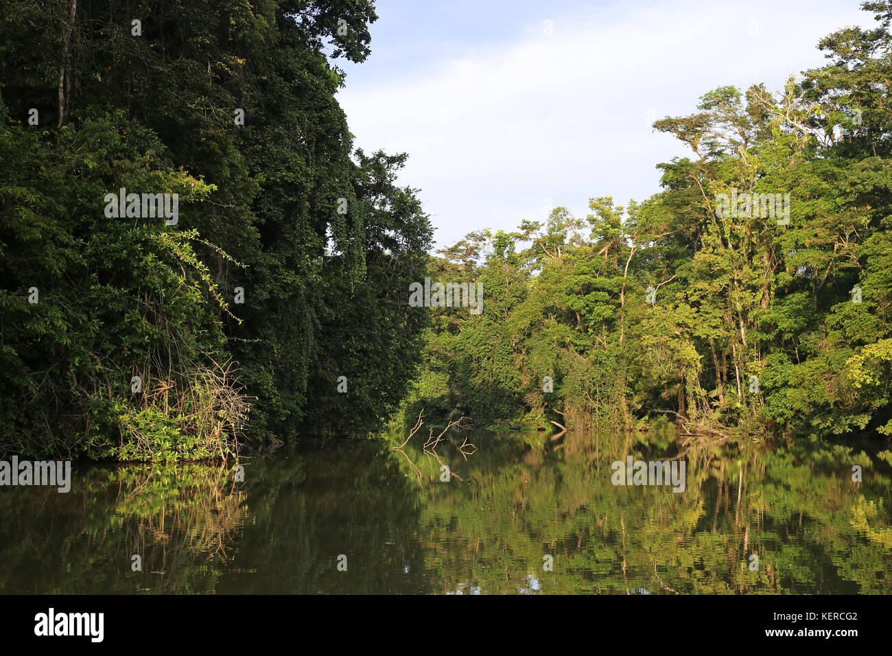 Nationalpark Tortuguero, Provinz Limón, Karibik, Costa Rica, Mittelamerika Stockfoto