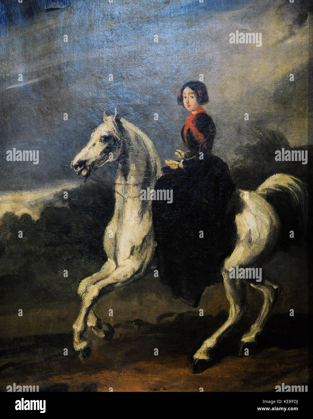 Schlesisches pferd -Fotos und -Bildmaterial in hoher Auflösung – Alamy