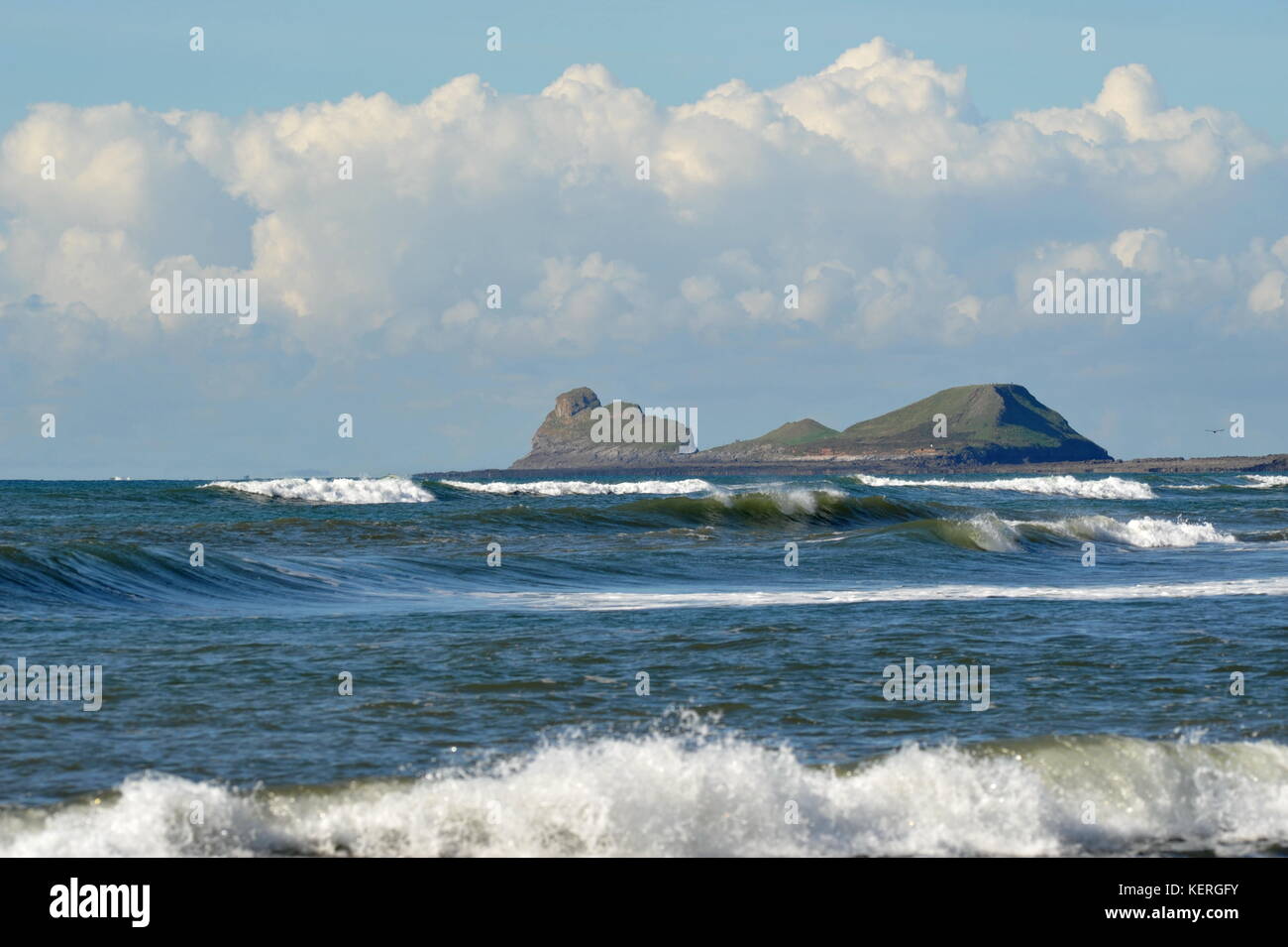 Würmer Kopf von Kessel reef South Gower Stockfoto