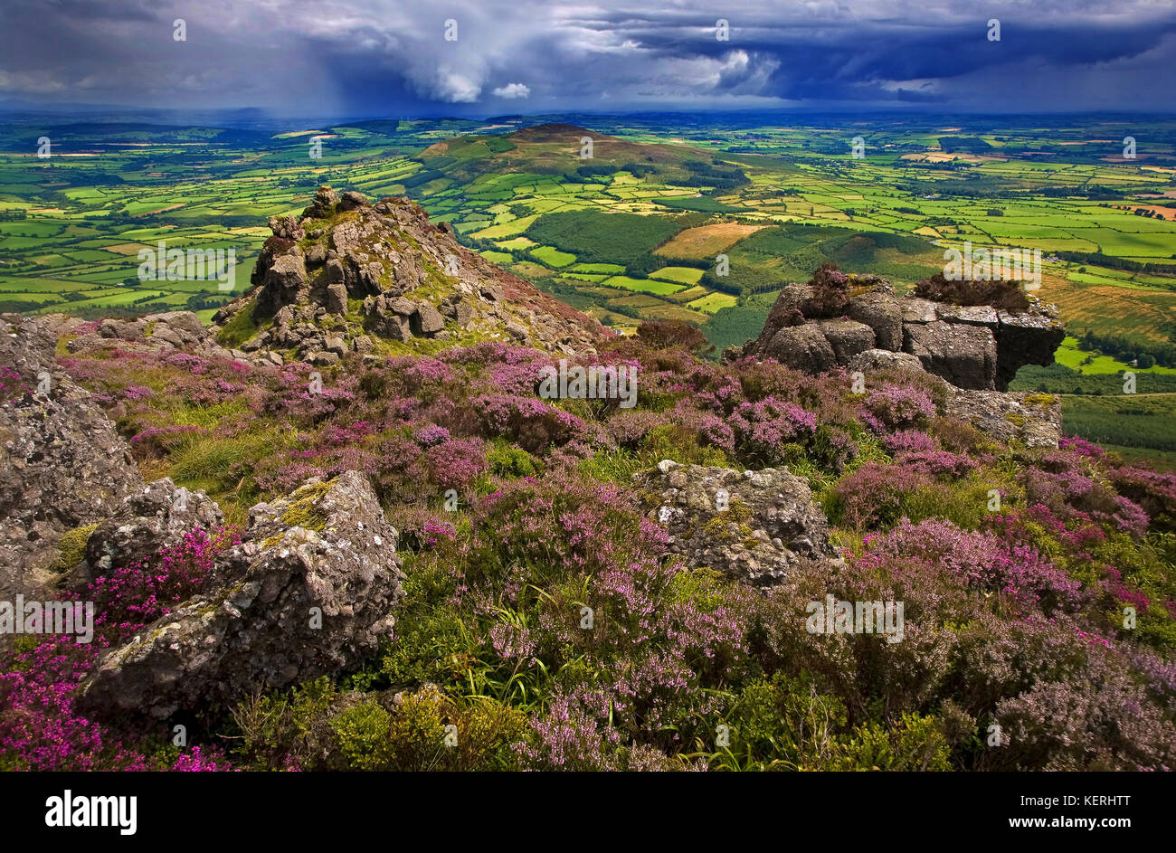 Pastoralen Feldern Streching bis zum Horizont, unterbrochen von Croghaun. Blick von oben Coumshingaun See, Comeragh Mountains, Grafschaft Waterford, Irland Stockfoto