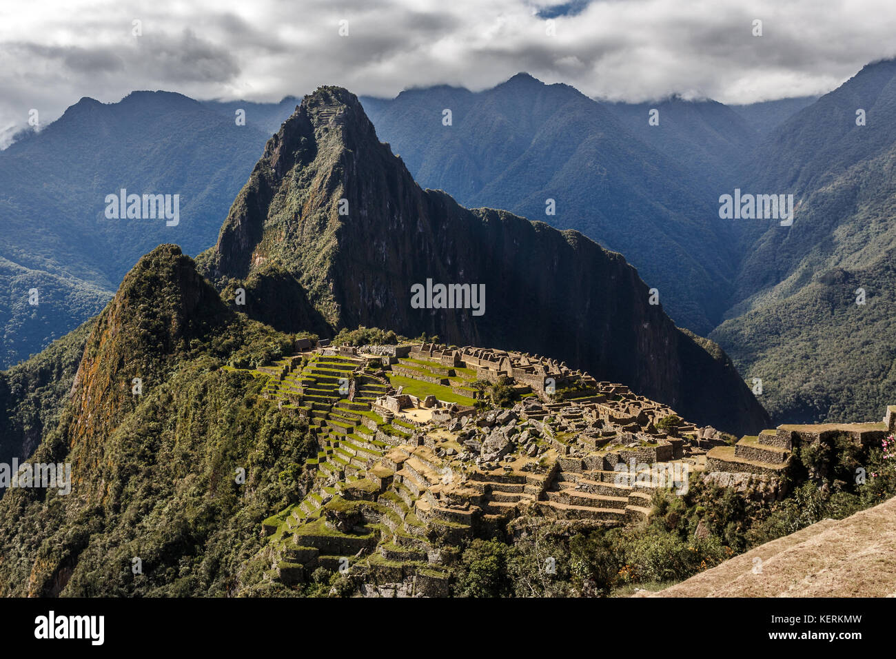 Blau antarktis Kreuzfahrt Schiff in der Lagune und Gentoo Pinguin Kolonie am felsigen Ufer des barrientos Insel, Antarktis Stockfoto