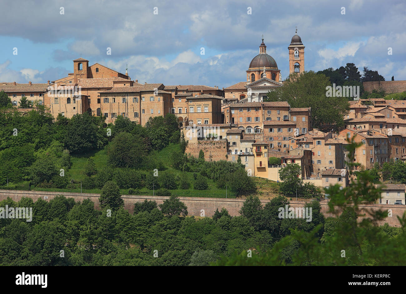 Blick auf Urbino, mit der Kathedrale und der Altstadt, Marken, Italien Stockfoto