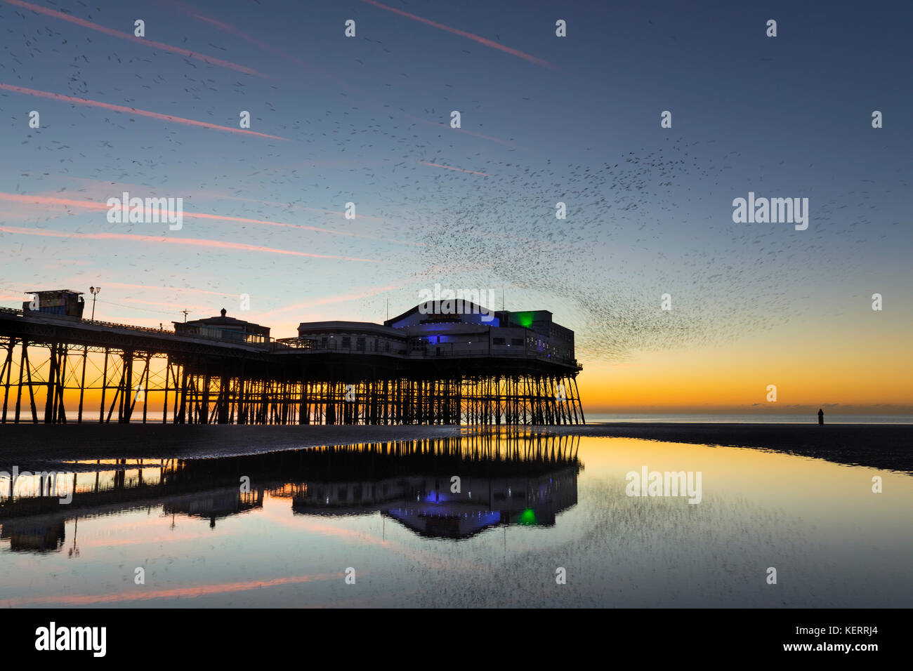 Starling; Sturnus vulgaris Schwarm, der nach Roost am Sunset North Pier kommt; Blackpool; Großbritannien Stockfoto