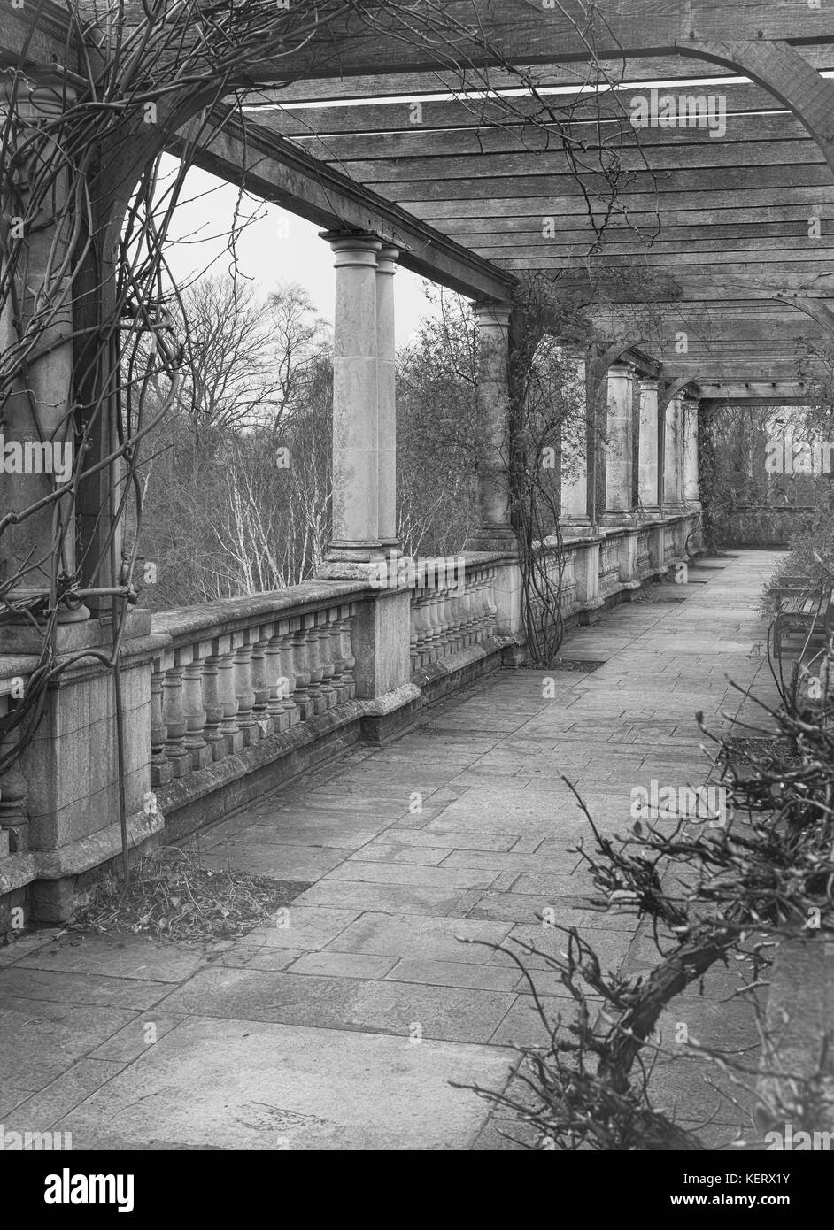 Hampstead Heath Pergola im Winter in London. Stockfoto