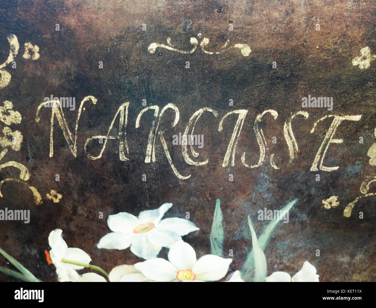 Narcisse text Stockfoto