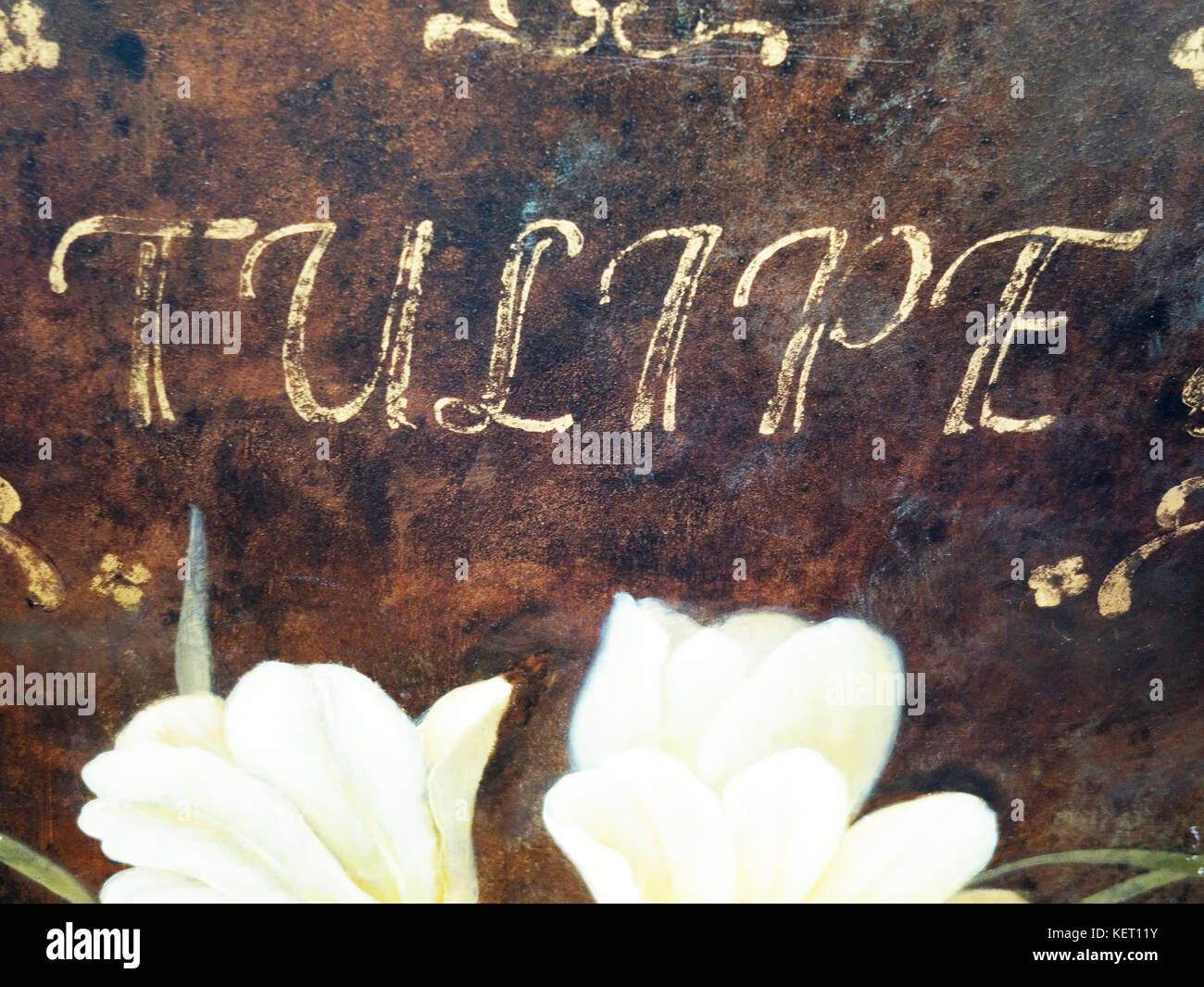 Tulipe text Stockfoto