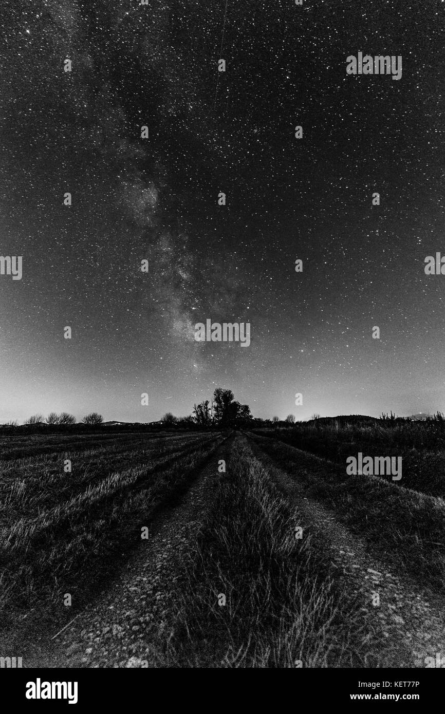 Blick auf die Milchstraße über einer Wiese und fernen Bäume Stockfoto