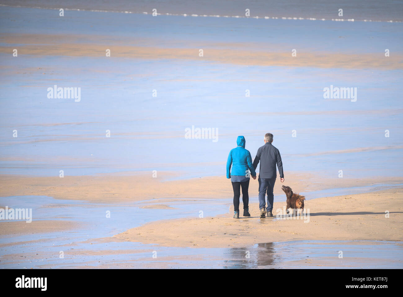 Hundespaziergängen - Hundespaziergänger am Fistral Beach in Newquay Cornwall. Stockfoto