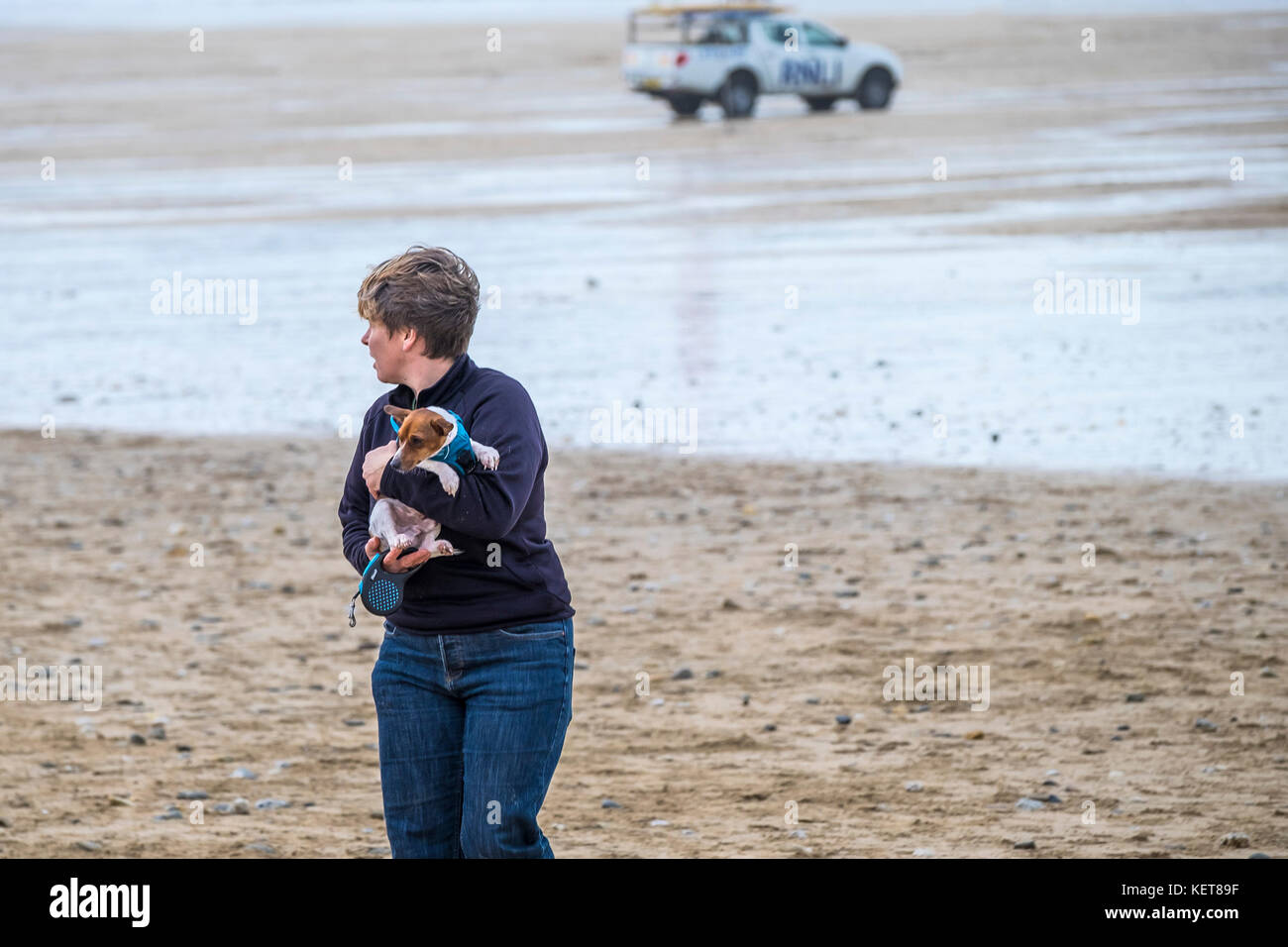 Hundespaziergängen - eine Frau mit ihrem kleinen Hund am Fistral Beach Newquay. Stockfoto