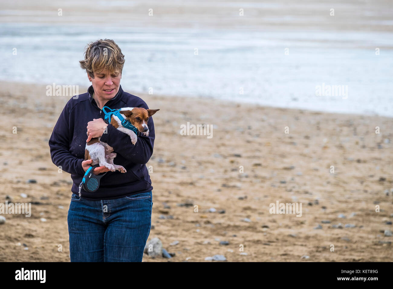 Hundespaziergängen - eine Frau mit ihrem kleinen Hund am Fistral Beach Newquay. Stockfoto