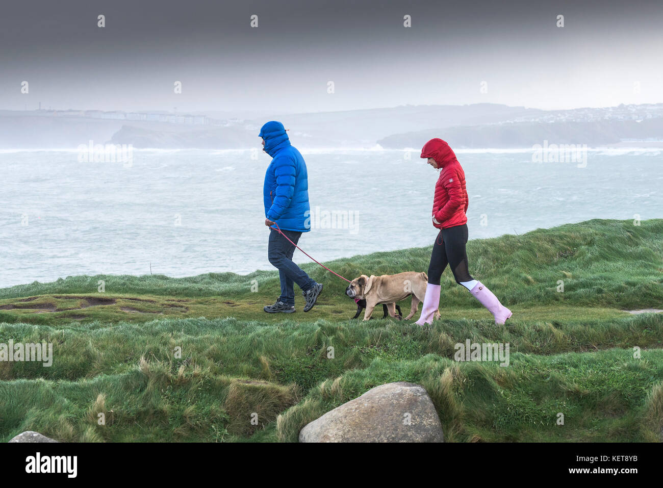 Dog Walker - ein Paar ihre Hunde an der Küste von North Cornwall bei windigem Wetter. Stockfoto