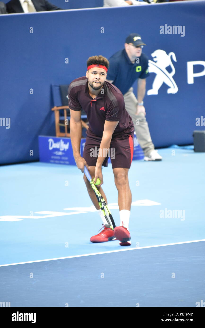 European Open - ATP World Tour Serie 250 - Antwerpen Belgien Stockfoto