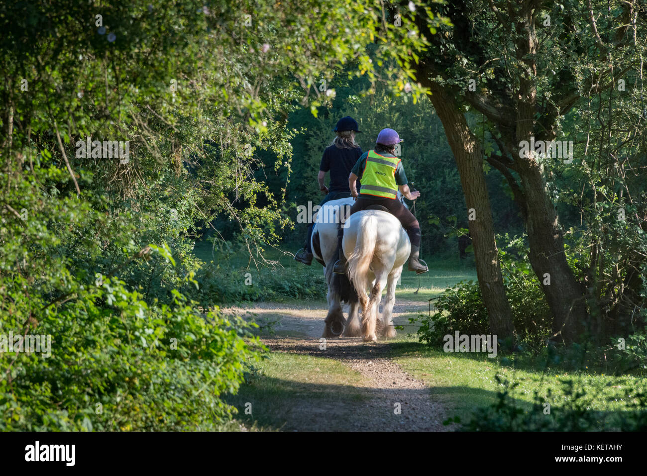 Reiten entlang der Reitwege des New Forest, Hampshire Stockfoto