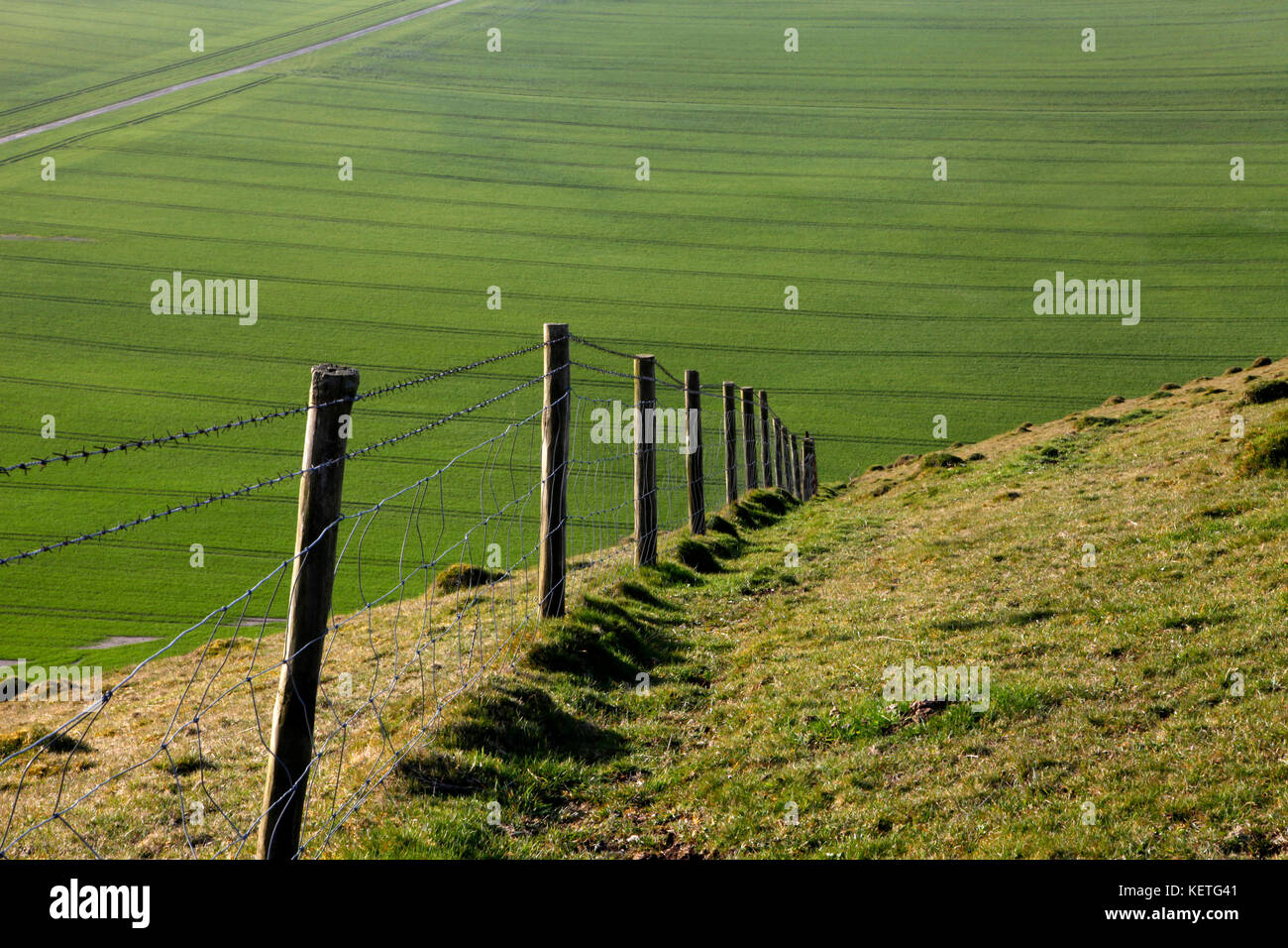 Ein stacheldrahtzaun Absteigend steil auf Chalk downland in Wiltshire. Stockfoto