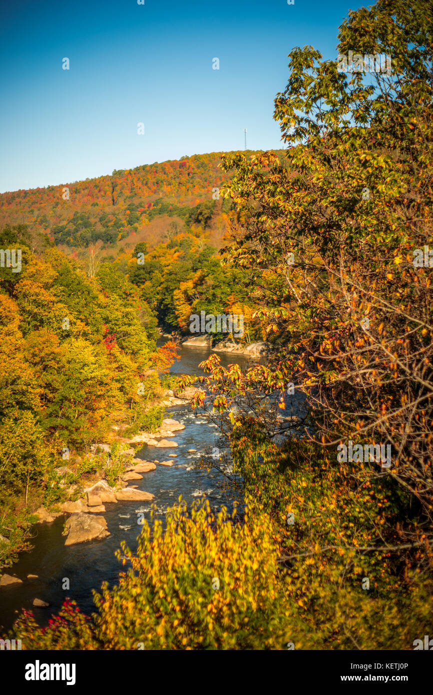 Bäume im Herbst in Hülle und Fülle Stockfoto