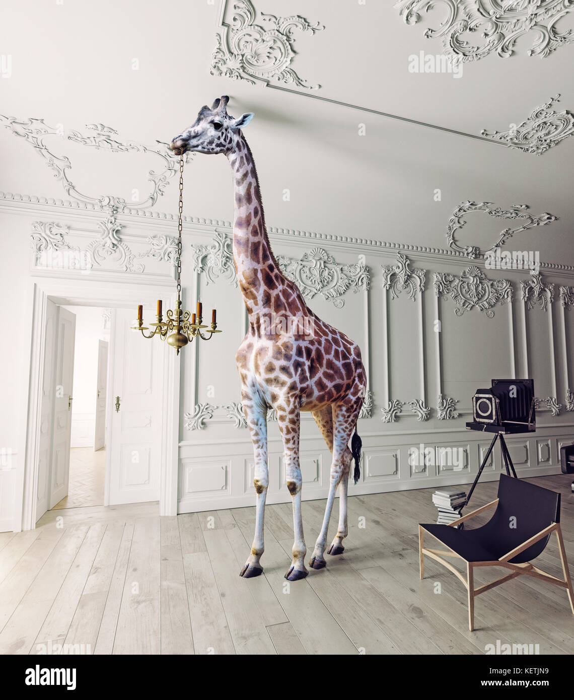 Die Giraffe halten Sie die Kronleuchter in der luxuriösen Interieur Stockfoto
