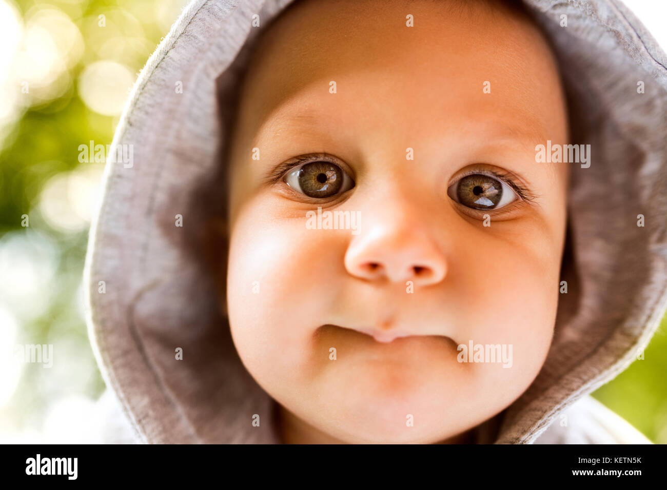 Porträt eines Jungen. Stockfoto