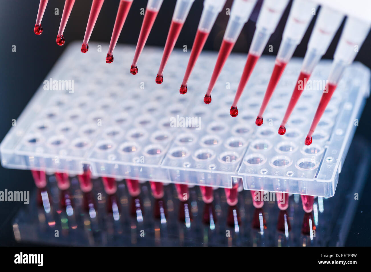 Pcr polymerase chain reaction Process Stockfoto