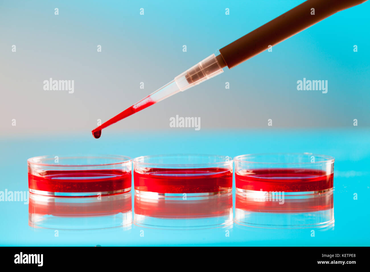 Pipette und PCR-Streifen Stockfoto