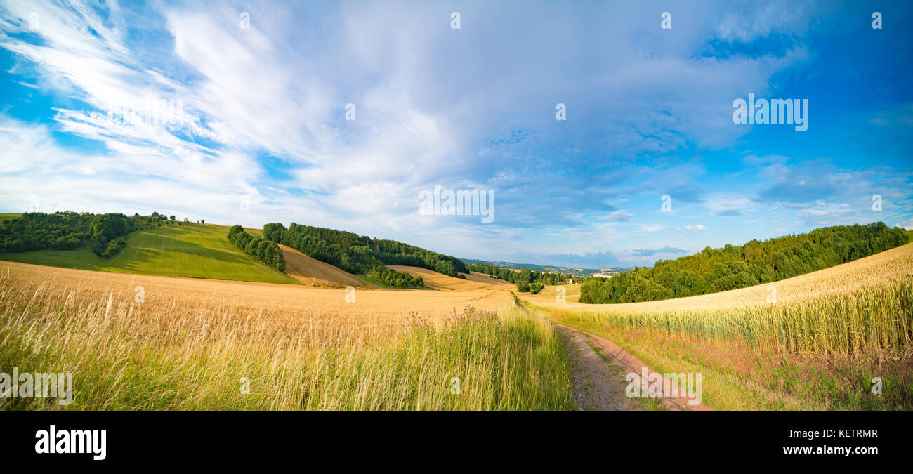 Panorama von Weizen Feld am Morgen in Kansas Stockfoto