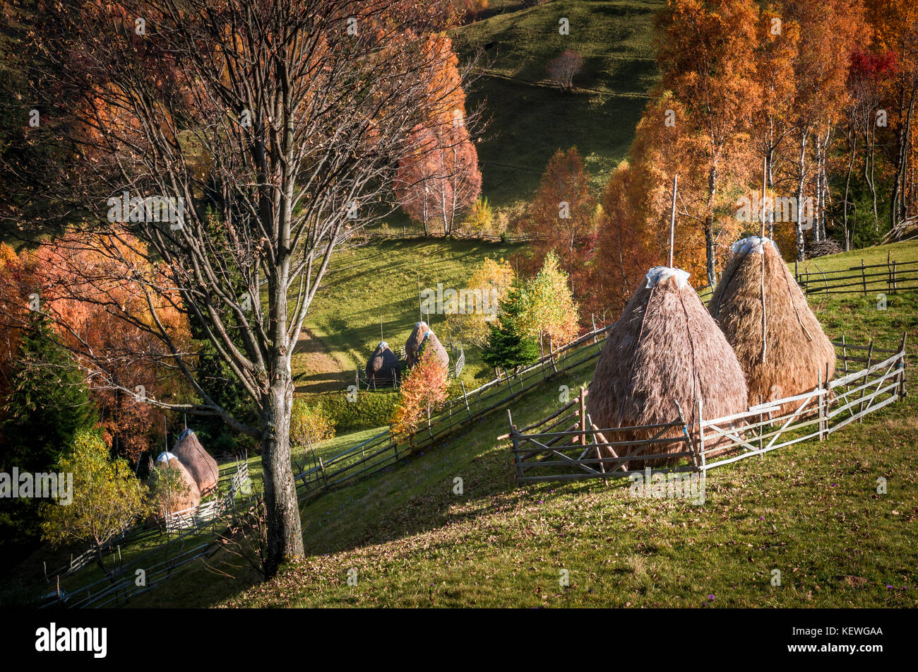 Herbst Landschaft. Farbenfrohe herbst Szene in einem Bergdorf. Stockfoto
