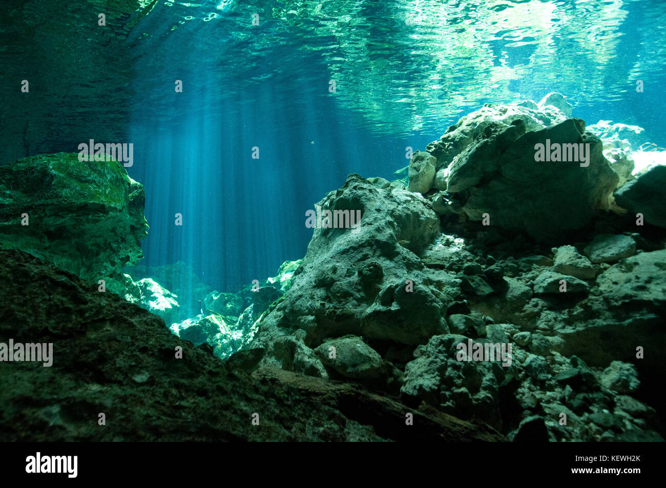 Cenote Höhlen Stockfoto