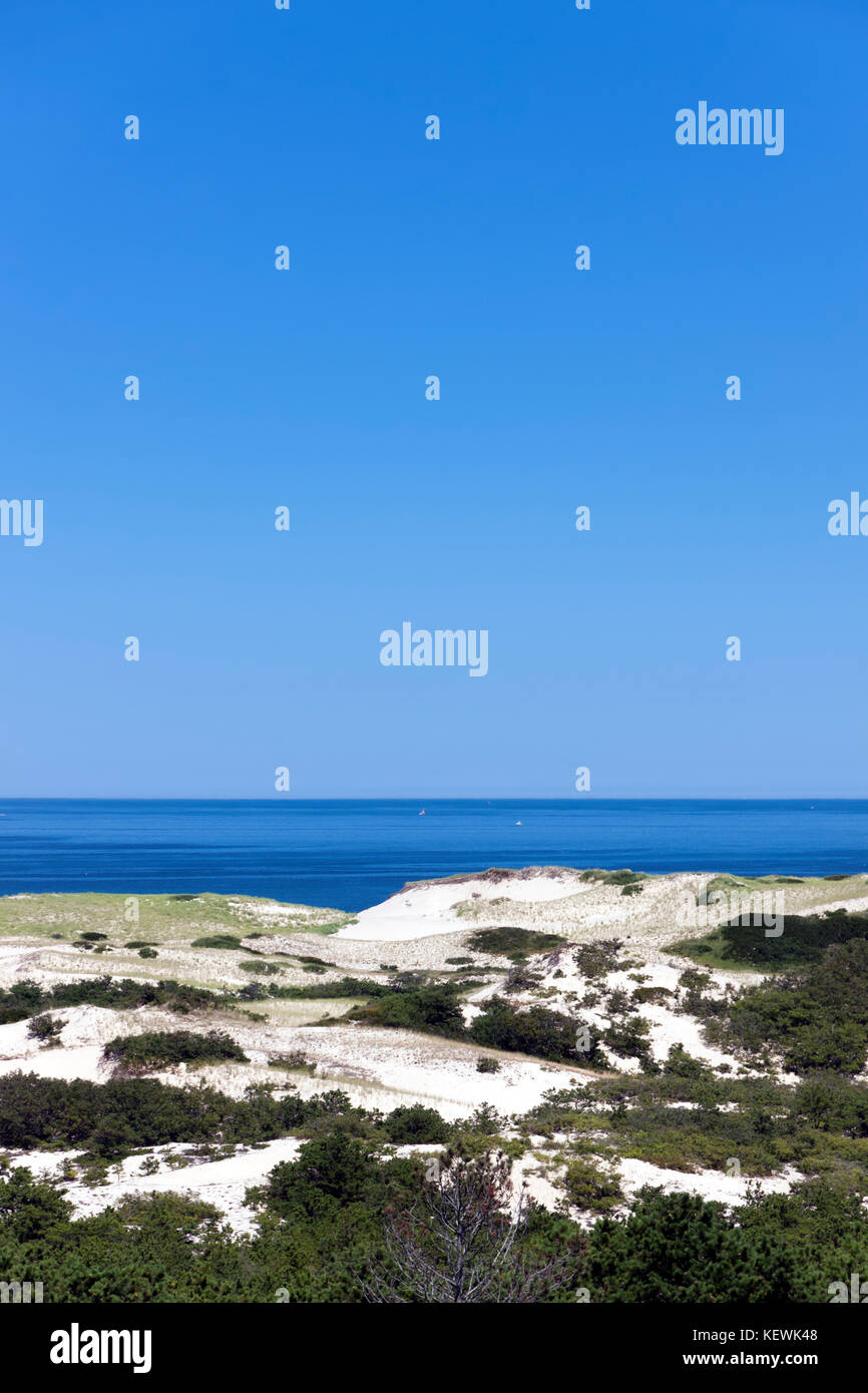 Provinz landet auf Cape Cod National Seashore. Sand dune Vegetation im Vordergrund und den Atlantischen Ozean im Hintergrund. Stockfoto