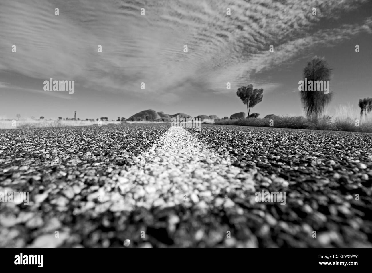 In Australien das Konzept der Wüste Umwelt in der Landschaft Outback Stockfoto