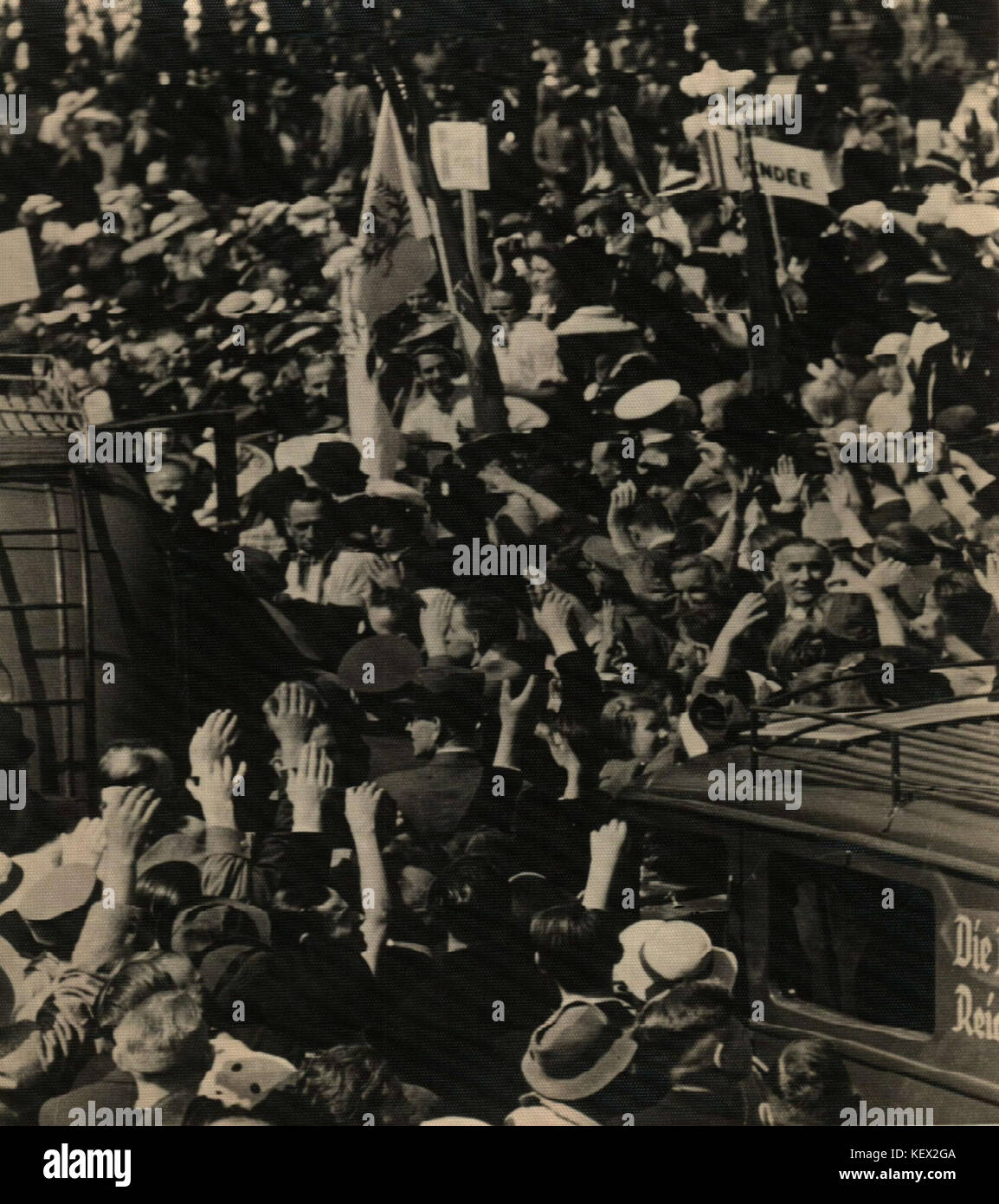 Platte XXXVI aus „die Ceratopsie“ bietet detaillierte Abbildungen von Ceratopsiden-Dinosauriern, die zum Verständnis des prähistorischen Lebens und paläontologischen Studien beitragen. Stockfoto