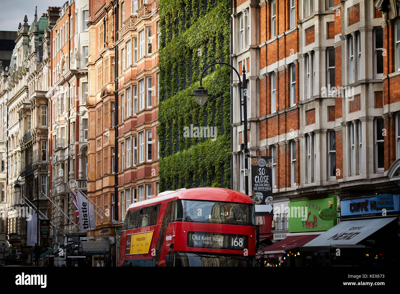 Immergrüne Pflanzen Living Wall für die Fassade der Synergie Haus auf Southampton Row in London Die Hauptstadt von England Stockfoto