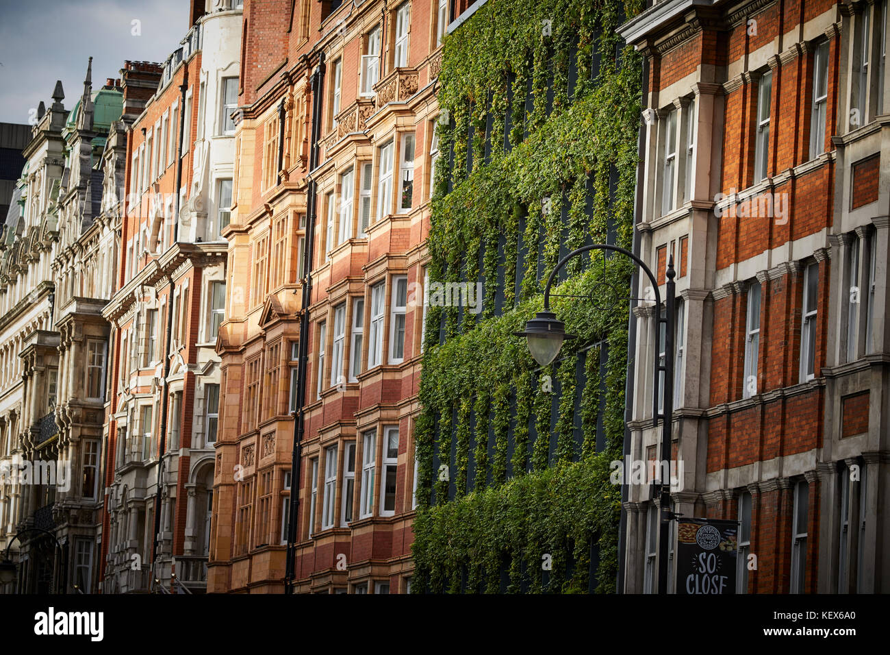 Immergrüne Pflanzen Living Wall für die Fassade der Synergie Haus auf Southampton Row in London Die Hauptstadt von England Stockfoto