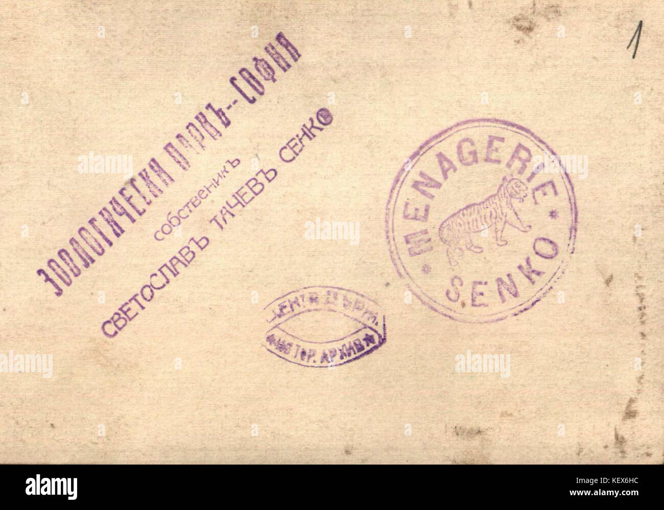 Dieses Foto zeigt Tiere im Zoo von Sofia und zeigt die Tierwelt des Zoos und seine Rolle für den Schutz und die Erziehung. Das Bild zeigt die verschiedenen Tierarten des Zoos. Stockfoto