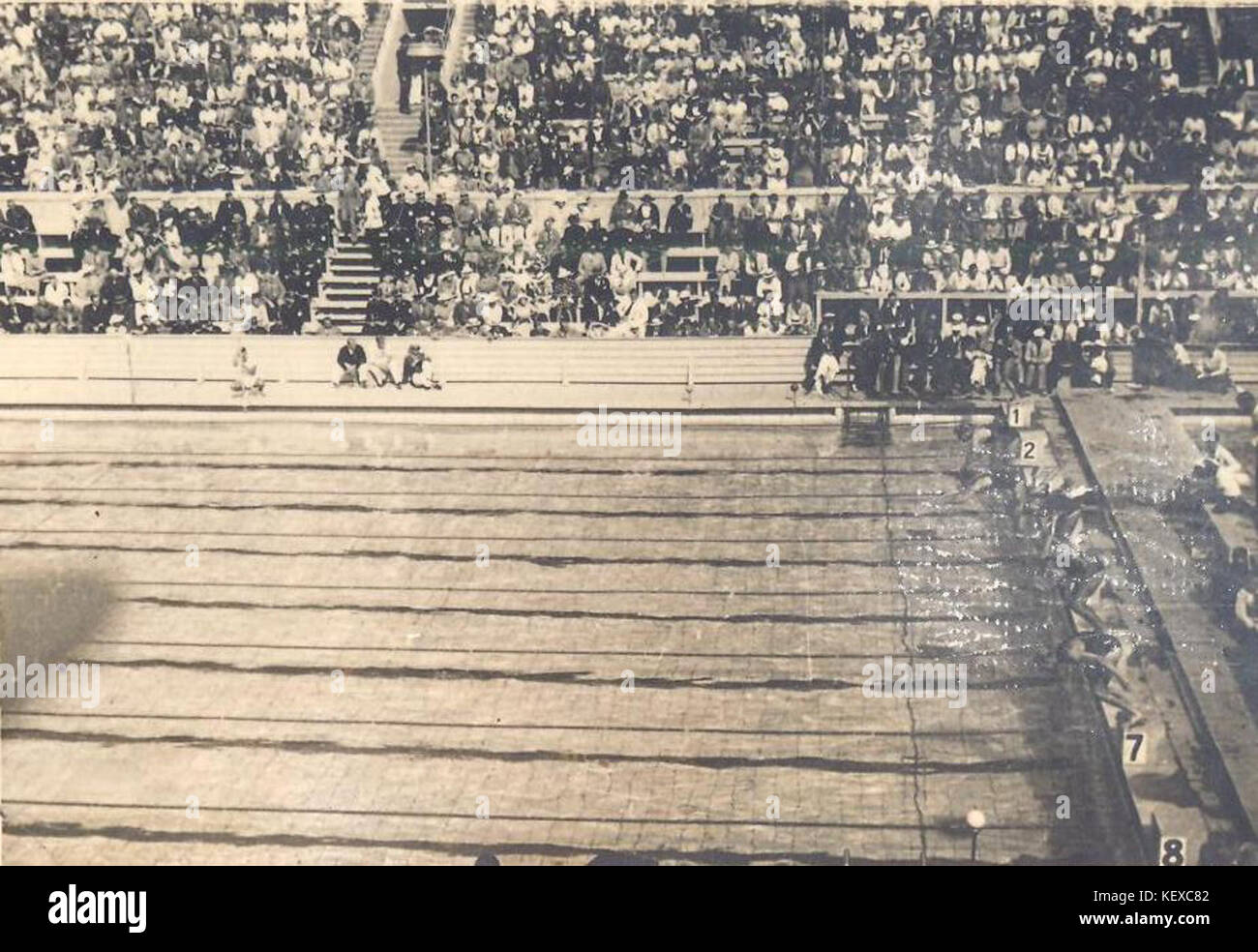 Olympische sommerspiele 1936 schwimmen Fotos und Bildmaterial in