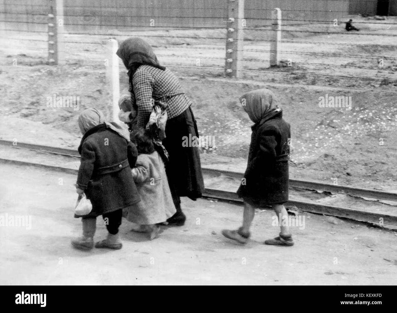 Bundesarchiv Bild 183 74237 004, KZ Auschwitz Birkenau, alte Frau und Kinder Stockfoto
