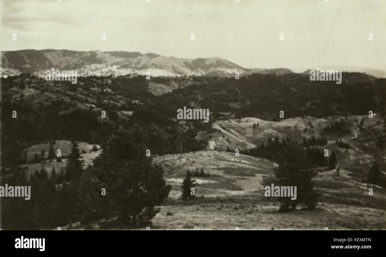 VD1217 2 12 224 Stockfoto