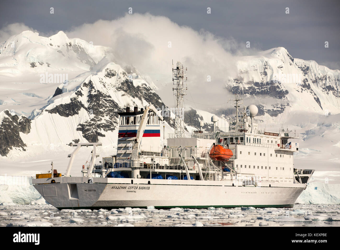 Die akademik Sergey Vavilov, ein Schiff auf einer Expedition in die Antarktis Kreuzfahrt gestärkt, in der gerlache Strait in der Antarktischen Halbinsel, einer der schnellsten Erwärmung Orte auf dem Planeten. Stockfoto