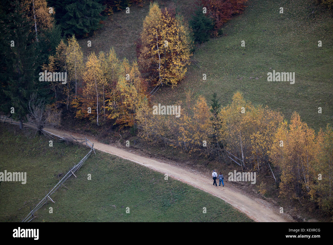 Herbst in Rumänien Stockfoto