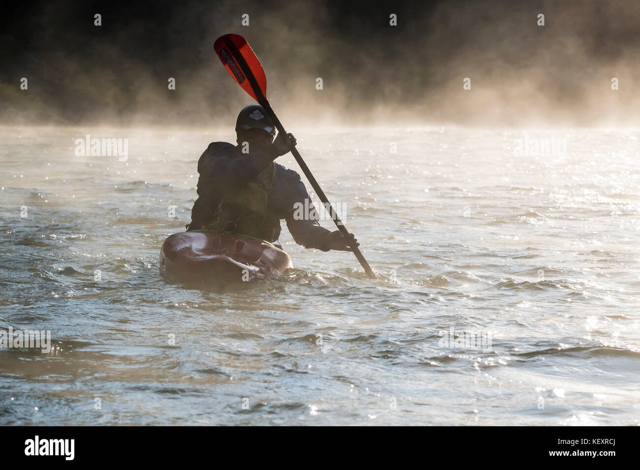 Vorderansicht des kayaker Paddeln auf nebligen Snake River, Jackson Hole, Wyoming, USA Stockfoto