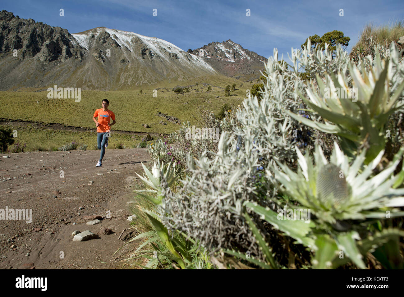 Läufertraining am frühen Morgen am El Nevado de Toluca Vulkan, in der Nähe von Toluca City, Mexiko Stockfoto