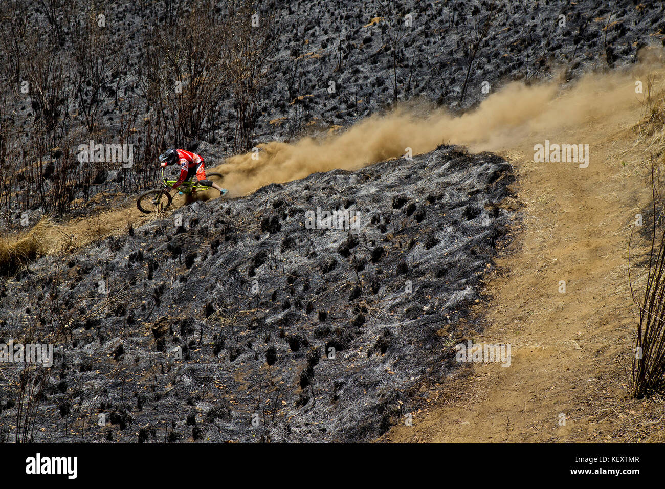 Biker, der Staub beim Überqueren der Downhill-Strecke, Tenango, Bundesstaat Mexiko, aufstaubt Stockfoto