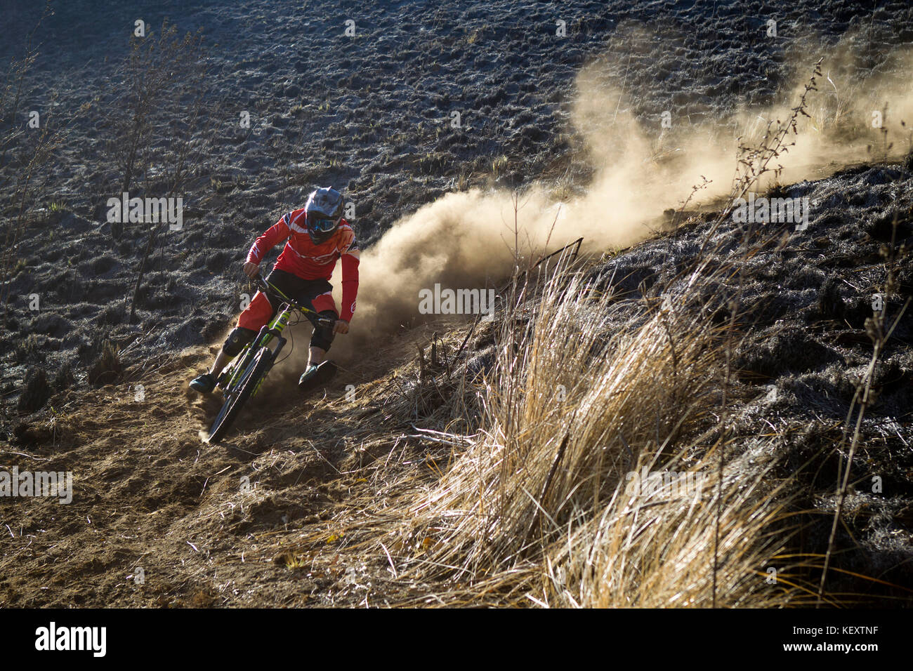 Vorderansicht von Biker, der Staub auf der Downhill-Strecke aufwirbelt, Tenango, Bundesstaat Mexiko, Mexiko Stockfoto