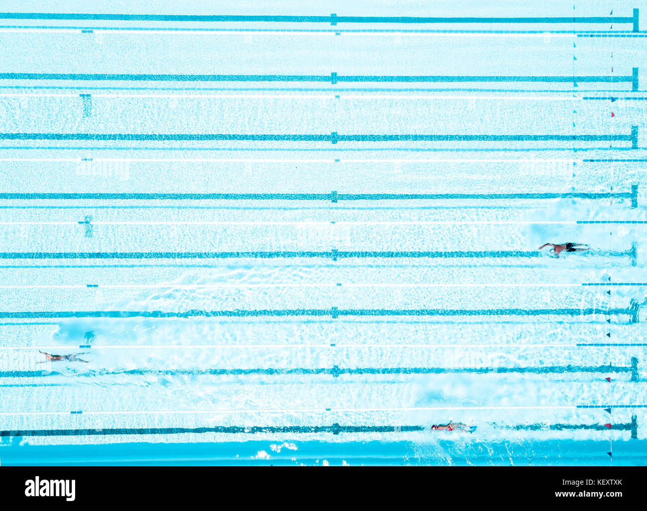 Luftaufnahme der Schwimmer im olympischen Pool, Teneriffa Top Ausbildung, Santa Cruz de Tenerife, Spanien Stockfoto