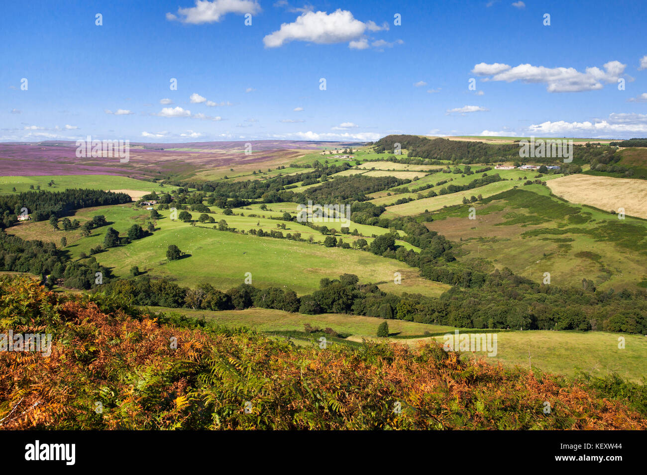 Pockley Rigg und Moor aus cowhouse bank Top North York Moors National Park North Yorkshire Stockfoto