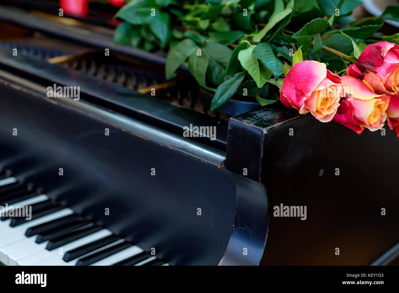 Rosa Blüten am Piano Abdeckung Stockfoto