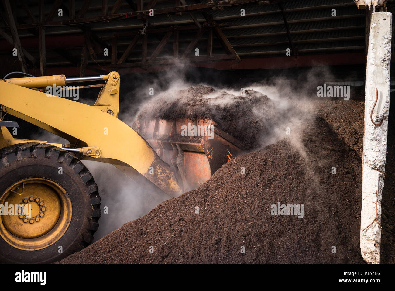 Ein Traktor churning einen großen Haufen dampfender Kompost. Stockfoto